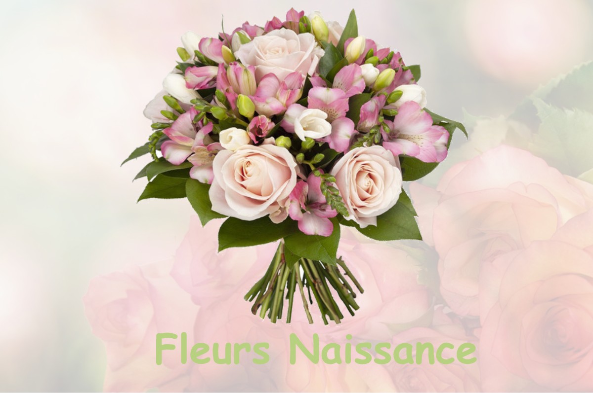 fleurs naissance FAVEROLLES-LA-CAMPAGNE