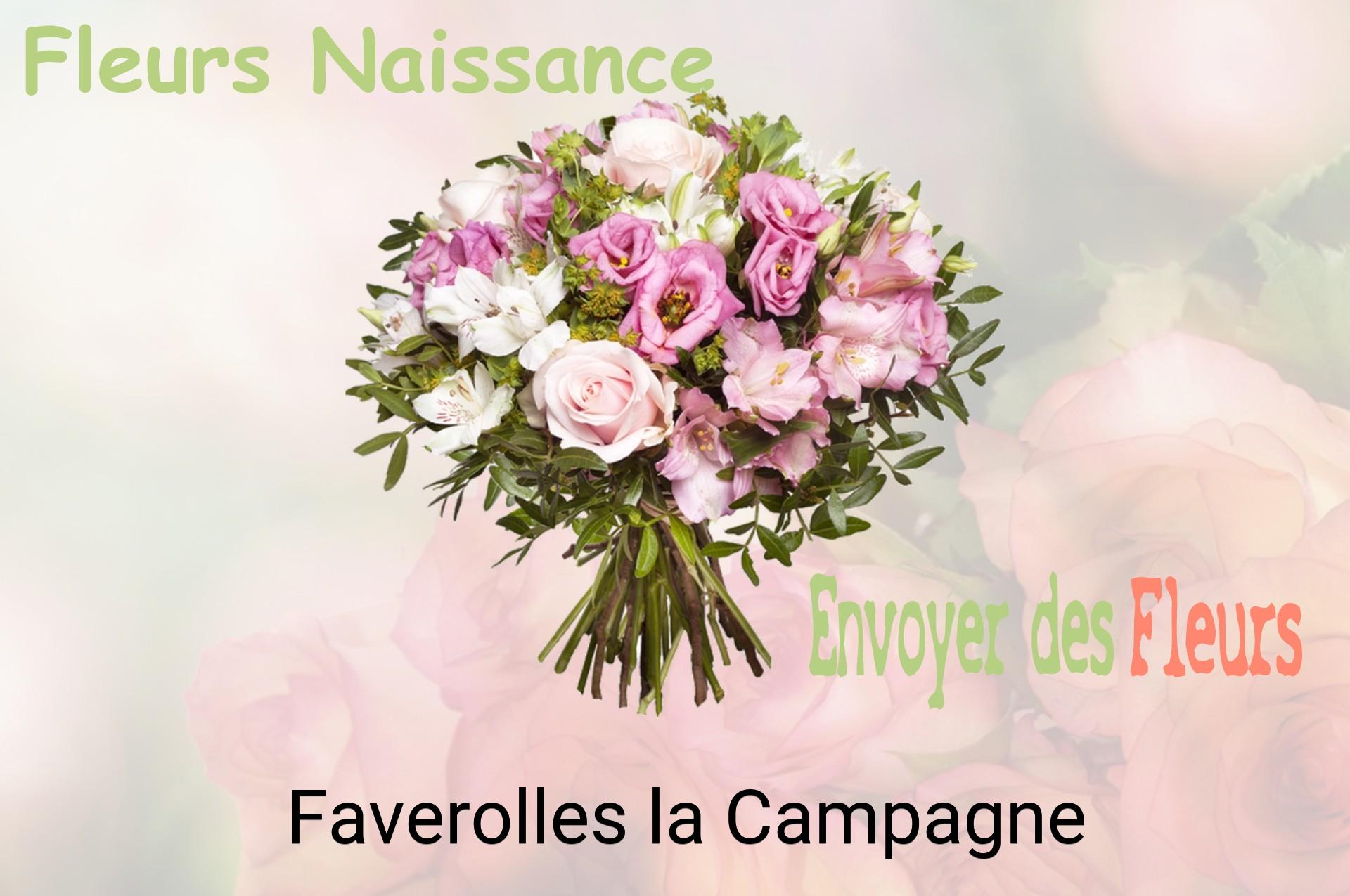 Bouquet de fleurs de naissance livré à Faverolles-la-Campagne